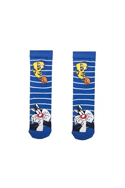 CNS Concept Tweety Blue Striped Socks