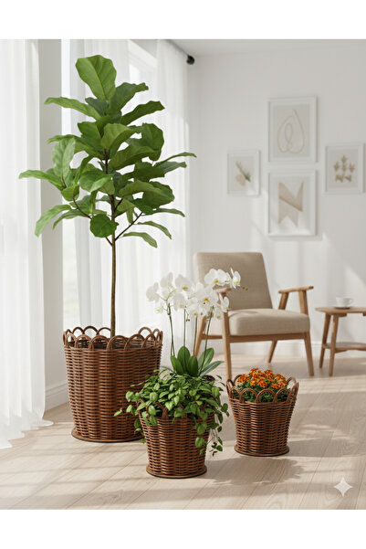 RaddanCore Premium Kahverengi Üçlü Saksılık Seti