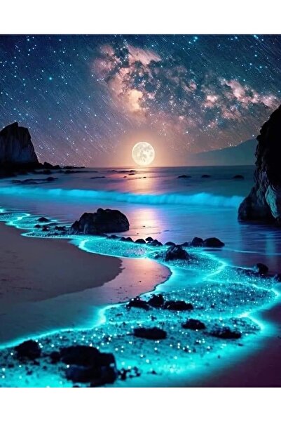 bilteknik 5d elmas boncuk boyama seti 30x40 cm