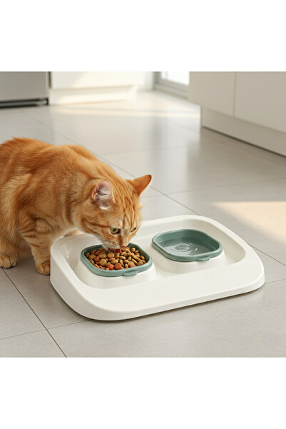 Kanonik Education وعاء طعام وماء 2 في 1 من ميكوبيت باللون الأخضر