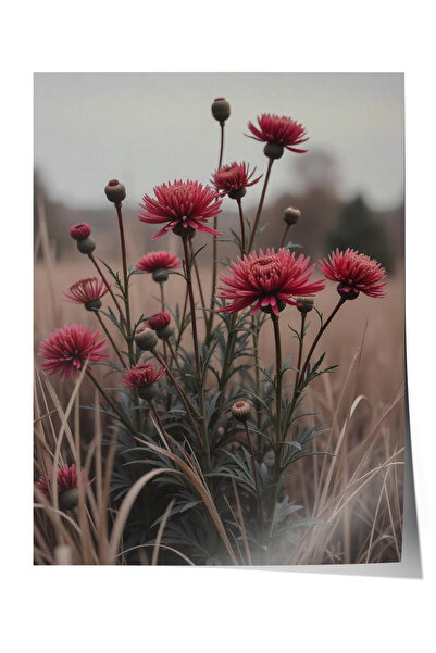 Zestia Poster fără ramă, Drum de la țară și ierburi sălbatice - Peisaj în pas...