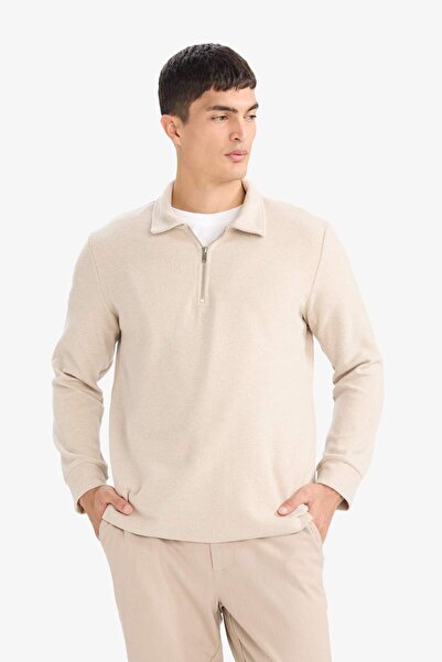 DeFacto Regular Fit Polo Yaka Yarım Fermuarlı Sweatshirt F2802AX25AU