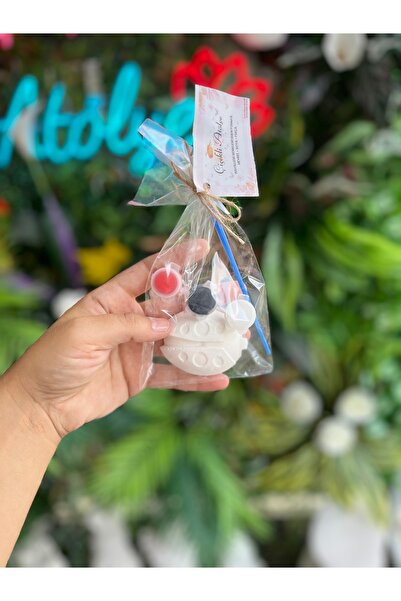 cicekliatolye UĞUR BÖCEĞİ BOYAMA 1 ADET HEYKEL