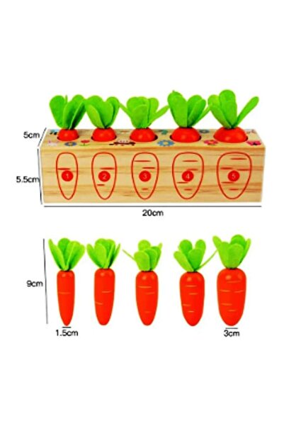 OEM Sortator de morcovi Montessori din lemn, 5 morcovi, dezvoltare motorie fi...