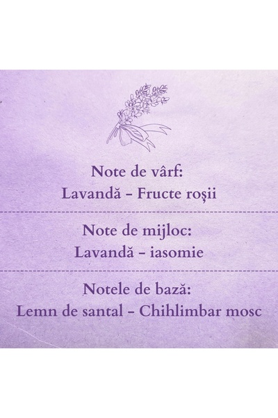 AromaZone Odorizant cu bețișoare AURA NOIR, Handmade – 120g, aromă de lungă durată