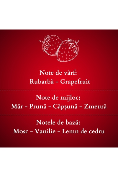AromaZone Odorizant cu bețișoare FRESH STRAWBERRY, Handmade – 120g, aromă de lungă durată