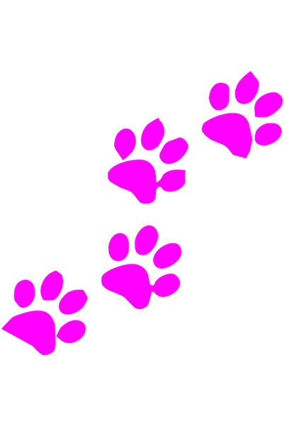 Oracal Autocolant auto "Urme de labute animal'', 13x13cm, Roz