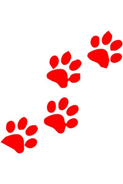 Oracal Autocolant auto "Urme de labute animal'', 13x13cm, Rosu