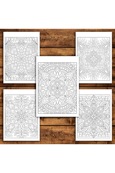 Legendary Gifts Painting book, 50 illustrations Mandala Patterns