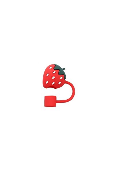 Yenigeldi Stanley Quencher Straw Stopper