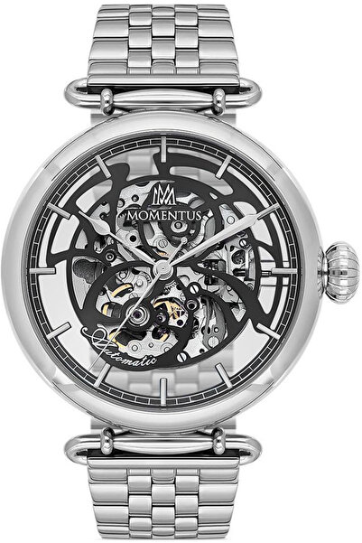 Momentus Tm271S-17Ss