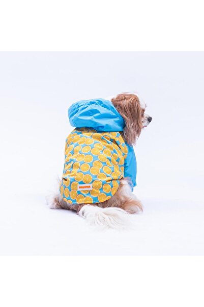Pawstar Nice Citrus Citrus Fruit Pattern Dog Coat Dog Raincoat Dog Outfit Dog...