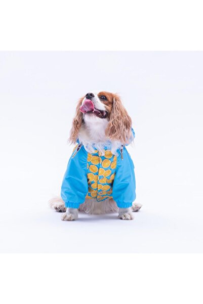 Pawstar Nice Citrus Citrus Fruit Pattern Dog Coat Dog Raincoat Dog Outfit Dog Dress
