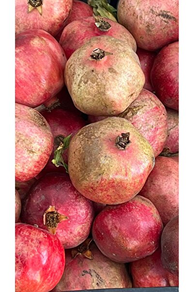 5M AHŞAP DEKOR NAR 2 KG