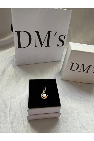 DM’s Silver 2 Renkli At Nalı Gümüş Charm’ı