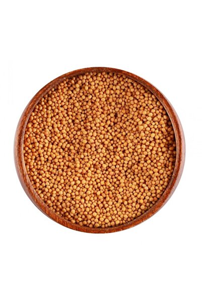 alatar بذور الخردل الصفراء 250 غرام
