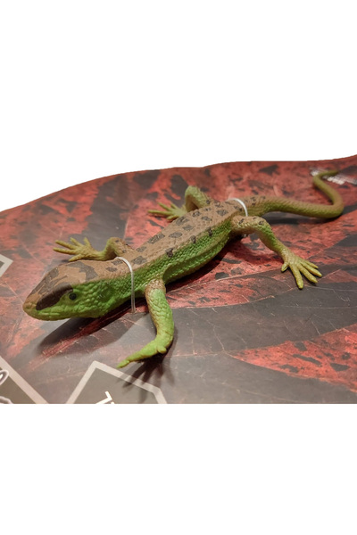 Animal World Calimera Toys Hayvan Figürleri Oyuncak Kertenkele