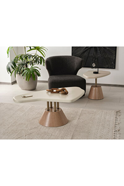 CEYHUL HEART DEMONTE ORTA VE YAN SEHPA