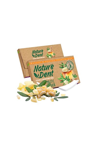 Nature Dent علكة ناتشر دينت بنكهة المصطكي 7 قطع