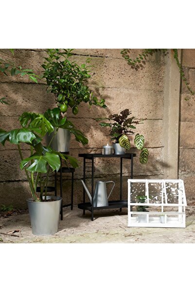 Generic Watering can, indoor/outdoor, galvanised, 2.5 l