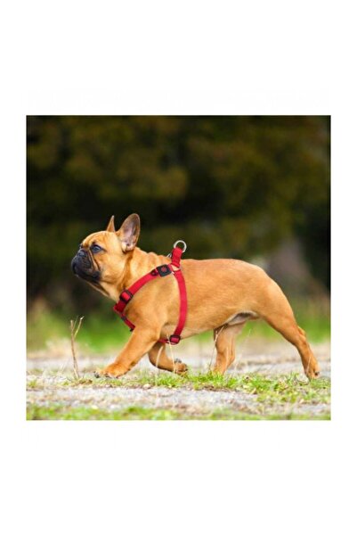 Doco NYLON HARNESS FOR DOG ( LARGE RED )