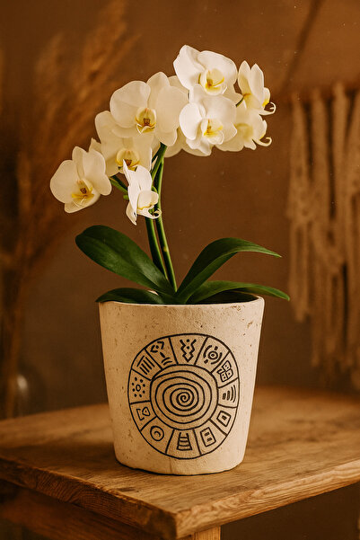 HİZ ART DECORATİON SAKSI