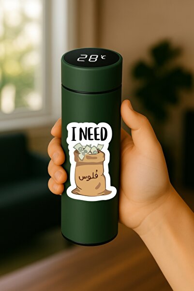 BSE Smart Thermos | “I NEED Money” Design 😂💸 | Digital Touchscreen | 500ml