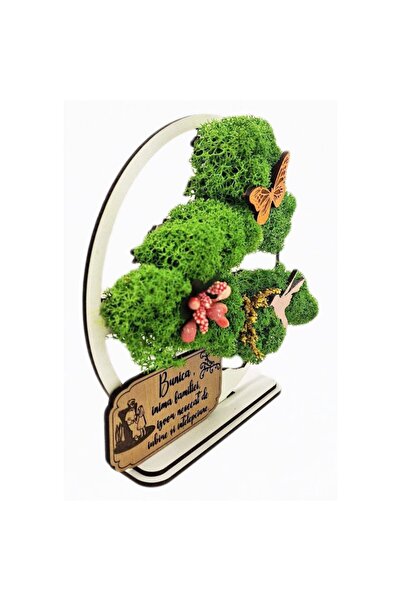 OEM Decorative Picture - Bonsai with Stabilized Lichens - Message for Grandma, 15 cm, White