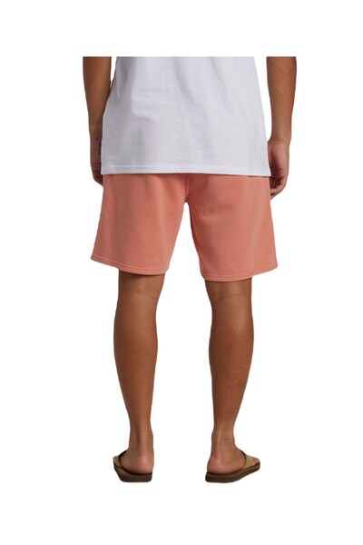 Quiksilver Aqyfb03035 Salt Water Fleece Men's Sports Shorts Pink
