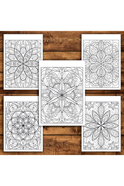 Legendary Gifts Painting book, 50 illustrations Mandalas with Flowers - Volume V