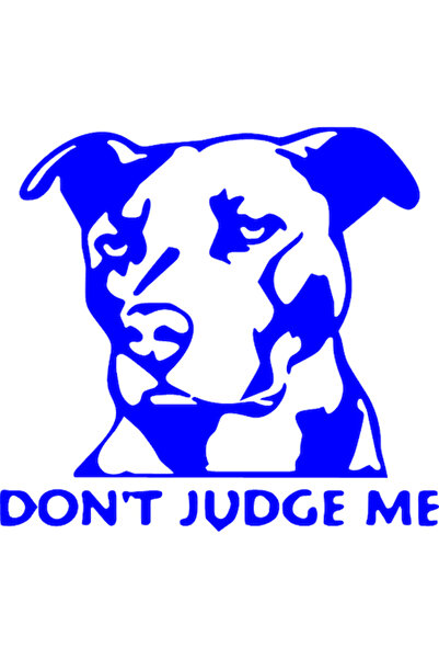 Oracal Decorative car sticker "Don't judge me", 18cm, blue