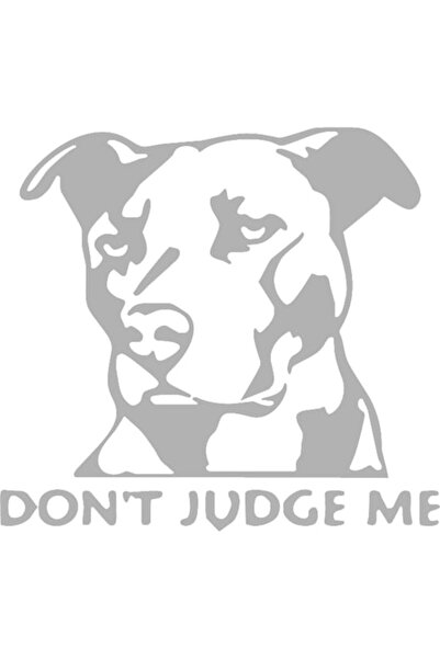 Oracal Decorative car sticker "Don't judge me", 18cm, grey