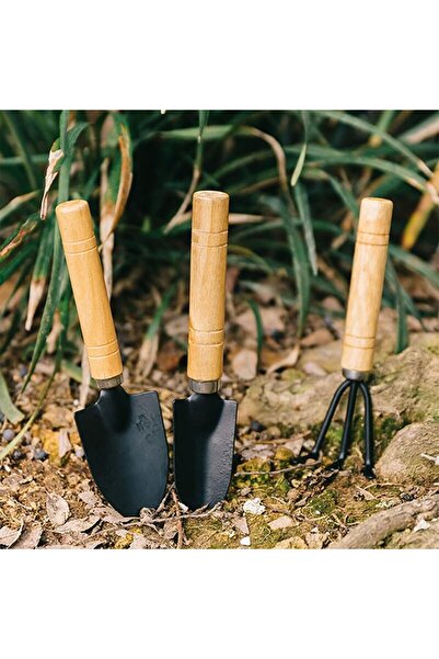 Generic 3-Piece Small Gardening Tool Set — Hand Trowel with Wooden Handle, Shovel & Cultivator for Succule