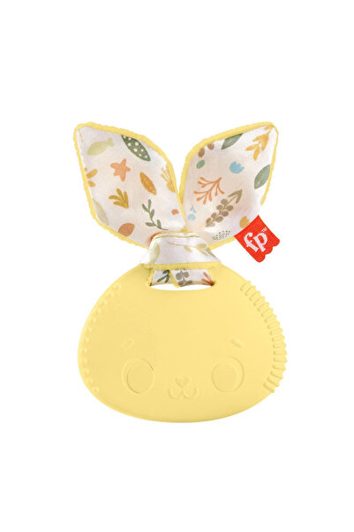 FISHER PRICE HRB19 Fisher-Price Sensimals Dişlik Seti