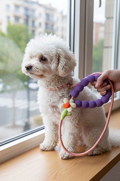 CAŞ DEKORASYON Mixed Color Floral Figured Drawstring Cat Dog Collar