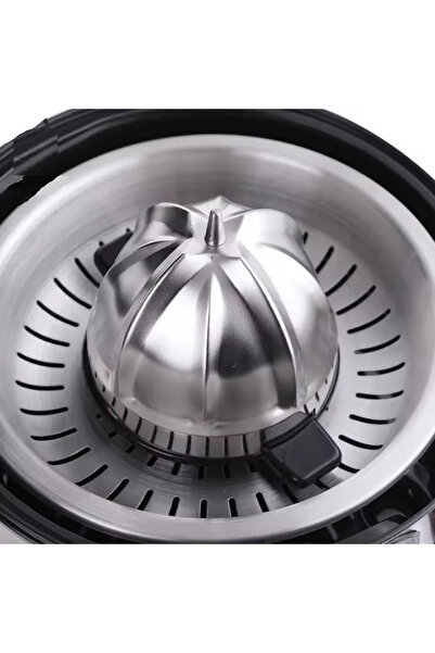 Denx DX312 Stainless Steel Electric Fruit Juicer with High Quality Squeezing