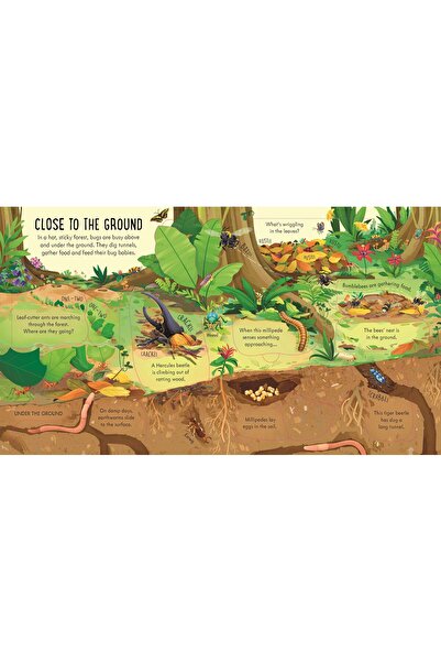 Usborne Look Inside Bug World