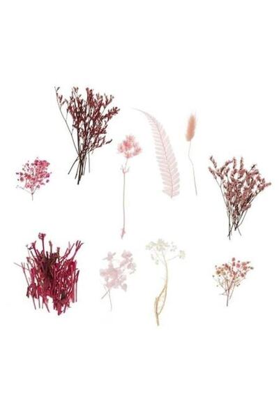 ANTBRO Flori uscate roz fuchsia pentru creații – 20g (Antbro)