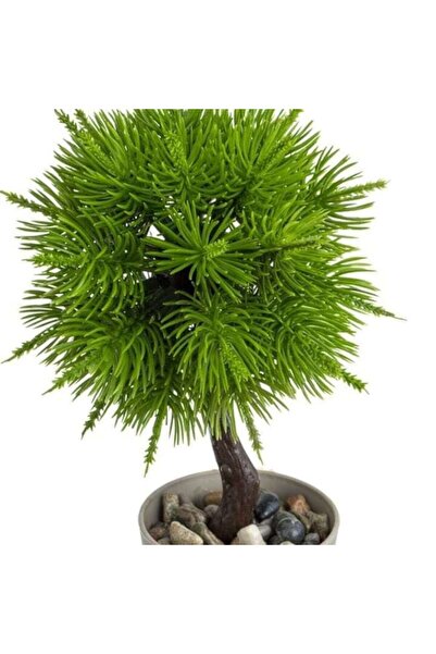 ANTBRO Ghiveci artificial pentru bonsai, culoare taupe, Ø6×19 cm – Vază minimalistă modernă cu bonsai artificiali