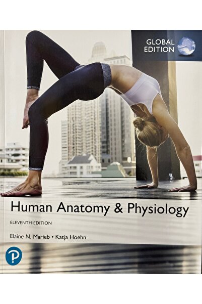 DAR علم التشريح وعلم وظائف الأعضاء البشرية