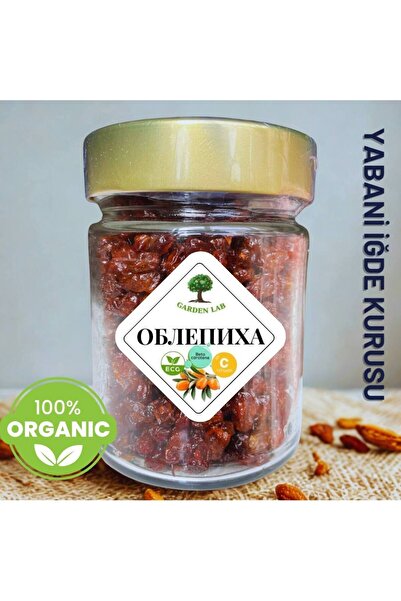 Tianshan dağları Yabani İğde Kurusu %100 Organik