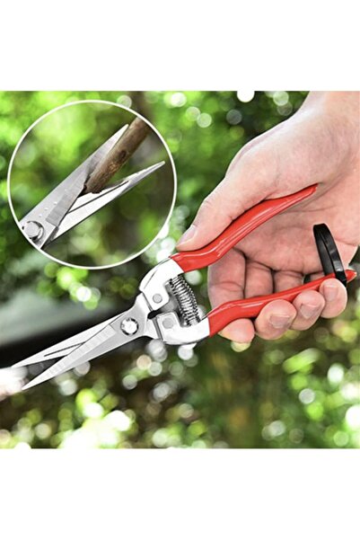 SHEAR مقص عنب صيني.