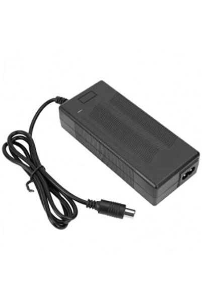 Pegas Φορτιστής μπαταρίας σκούτερ Fs16A