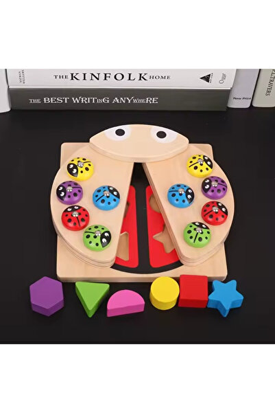 OEM Set Joc Buburuza Magnetic Montessori cu Forme Geometrice