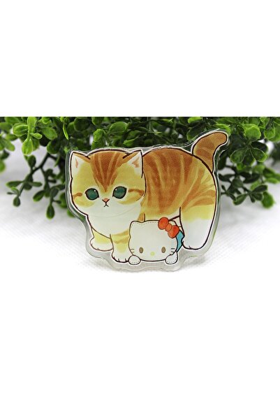 Tezcan Aksesuar Büyük Model Popsocket Telefon Tutucular