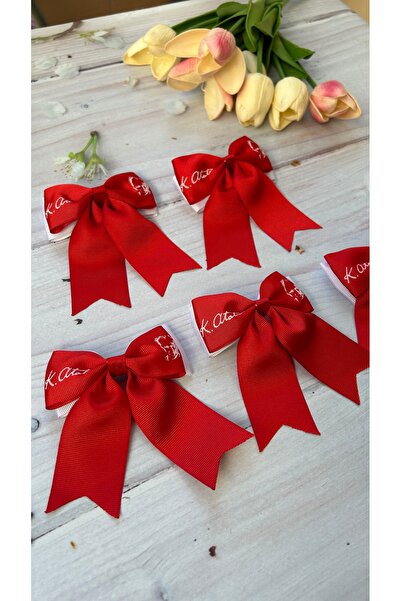 THE İLKİN TOKA Ataturk Patterned Ribbon Hair Clip - 2 Pieces with Clips/ October 29, May 19, April 23 Clip