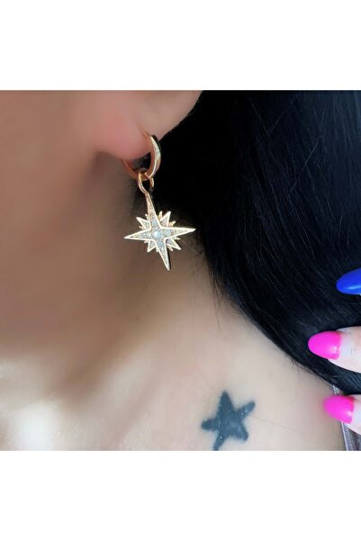 ACAR TAKI Xuping Polar Star Charmli Earrings-Rose Color Acr7122