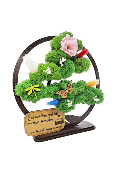 OEM Decorative Frame - Bonsai with Stabilized Moss - Message for Accountant (Wenge, 20cm)