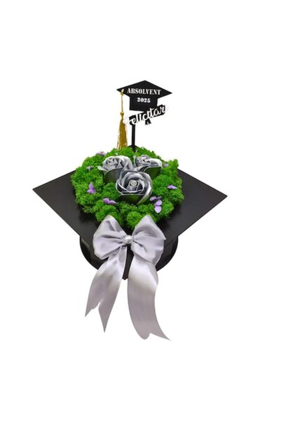 T&M Personalizare Aranjament decorativ pentru absolvire cu topper, licheni st...