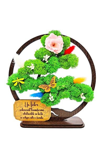 OEM Decorative Artwork – Bonsai with stabilized moss and accents, wenge, 20cm (Leader message)